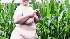 in the corn field